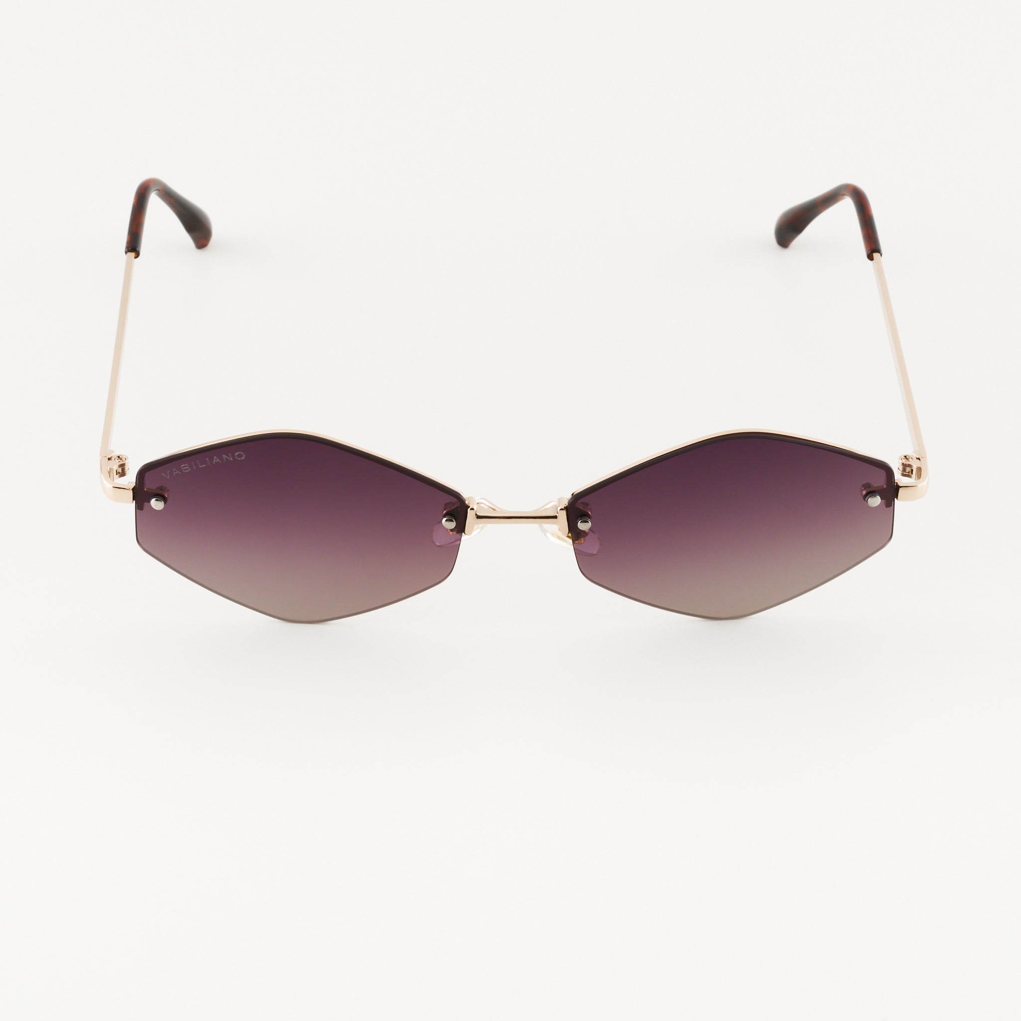 Преоценени Siena L Polarized Слънчеви очила
